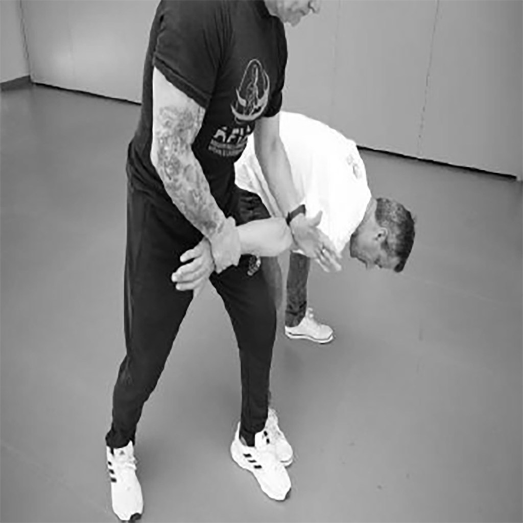 A INEFICACIA DE LAS LUXAXIONES EN CIERTAS AGRESIONES: MOVIMIENTOS BRUSCOS Y PELIGROS EN LA APLICACIÓN&nbsp;DIRECTA