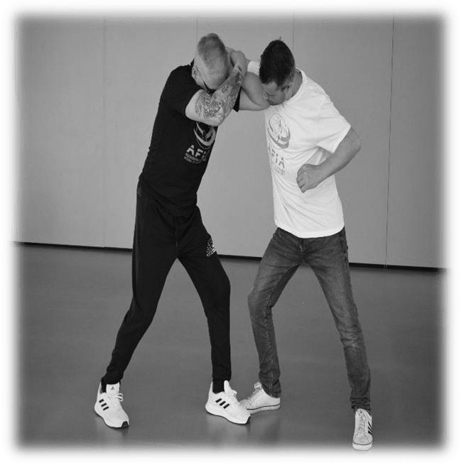 DEFENSA PERSONAL REALISTA VS. ARTES MARCIALES TRADICIONALES: UN ENFOQUE PARTICULAR SOBRE EL ENTRENAMIENTO Y LA SEGURIDAD DEL PRACTICANTE 